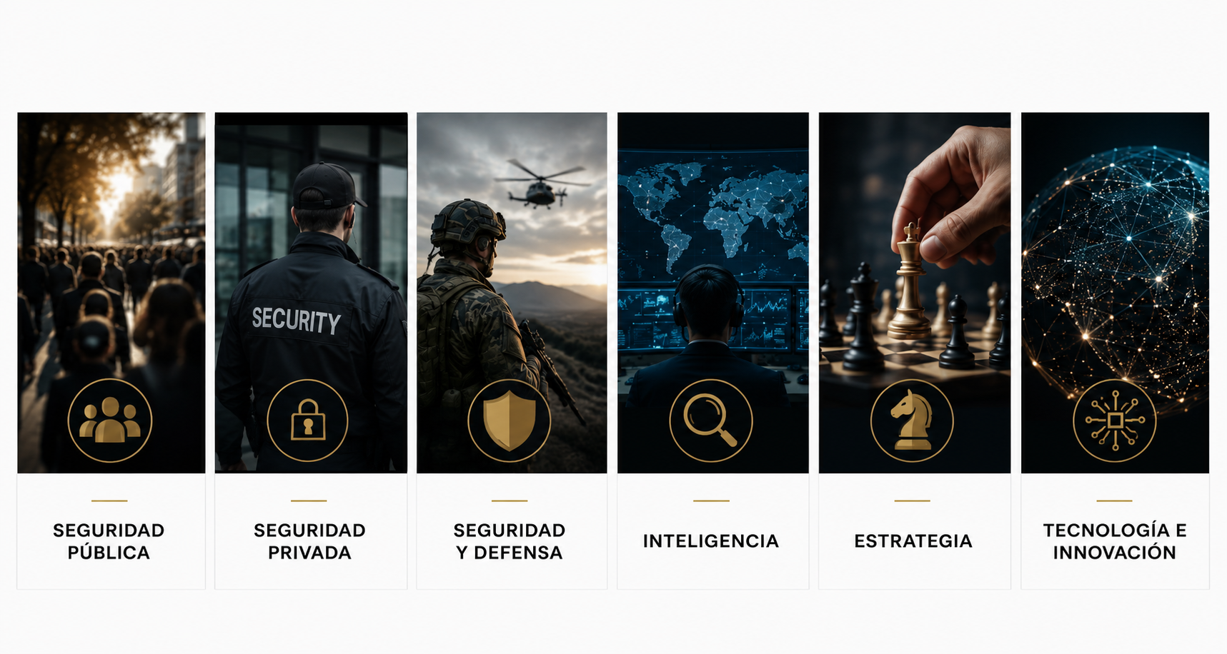 Dimensiones de Seguridad Multidimensional STRATEMY