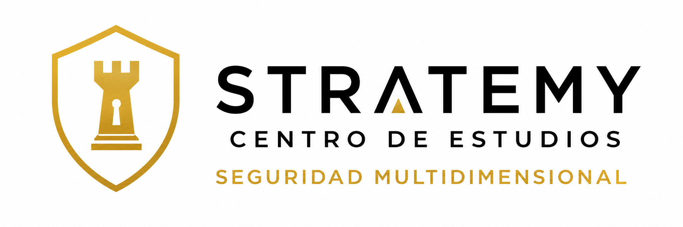 STRATEMY Centro de Estudios y Seguridad Multidimensional